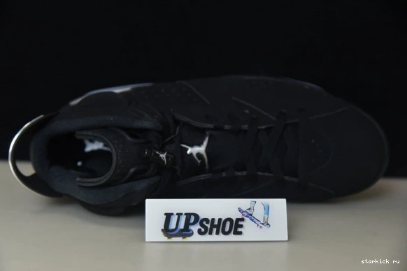 Metallic 6 Silver Jordan Retro DX2836-001 DX2836-001 0224